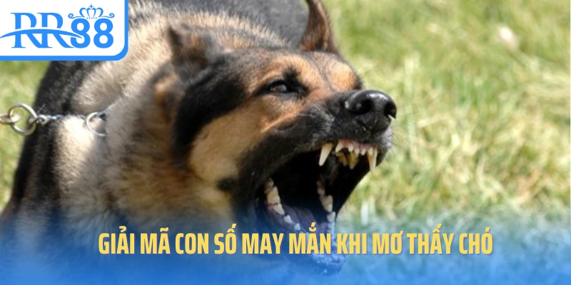 giai-ma-con-so-may-man-khi-mo-thay-cho