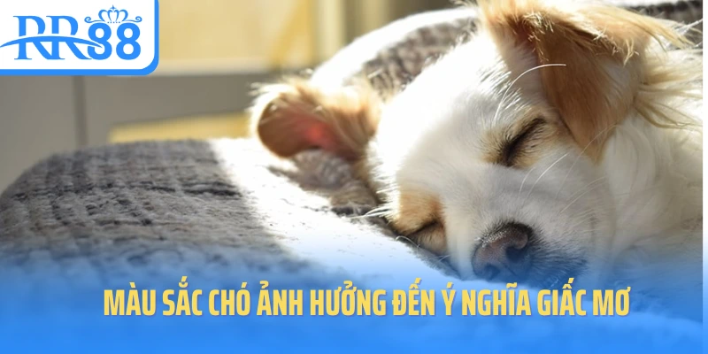 mau-sac-cho-anh-huong-den-y-nghia-giac-mo