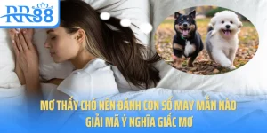 mo-thay-cho-nen-danh-con-so-may-man-nao-giai-ma-y-nghia-giac-mo