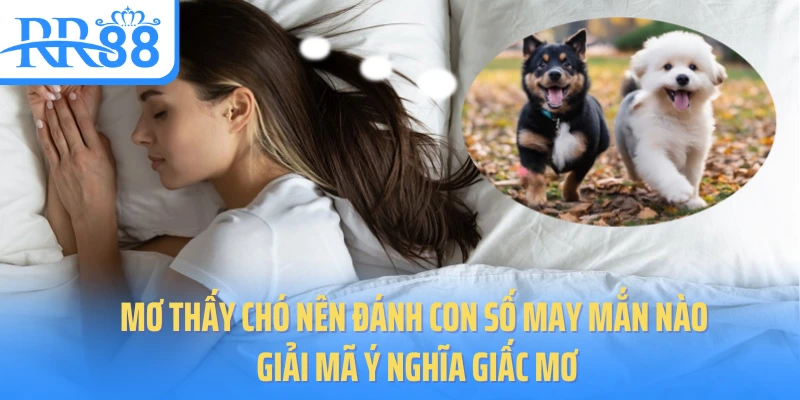 mo-thay-cho-nen-danh-con-so-may-man-nao-giai-ma-y-nghia-giac-mo