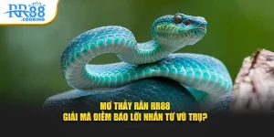 mo-thay-ran-rr88-giai-ma-diem-bao-loi-nhan-tu-vu-tru