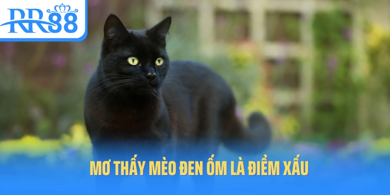 mo-thay-meo-con-bi-om