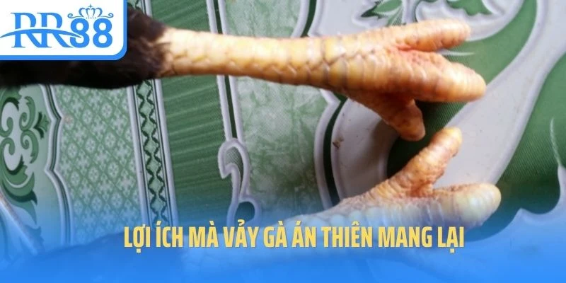 vay-ga-an-thien-loi-ich