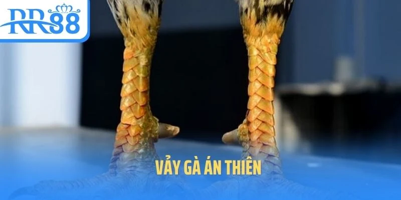 vay-ga-an-thien